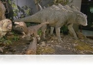 A Bakonyt a dinoszauruszok földjének is nevezik