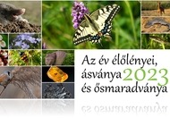 Az Év élőlényei 2023 a Savaria Múzeumban (márc. 25.)