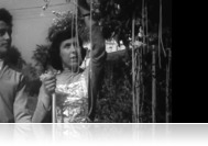 Mi fán terem a spagetti? - Híres áprilisi tréfák