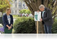 A fa érték! táblákat avattak Szombathelyen - Akár százmillió forintot is érhetnek a városi fák