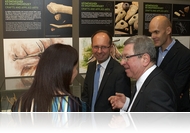 Kíváncsi 80 grammnyi aranykincsre? - Vas megye őskorát bemutató állandó kiállítás nyílt a Savaria Múzeumban