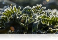 A nap aminél nem volt még hidegebb Magyarországon