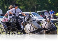 Vasi sikert is hozott a XV. Búcsúi Fogathajtó verseny Gencsapátiban