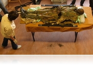 Aki megérinthette a múltat - Kristóf Lilla Alida, a győri múmiakutató