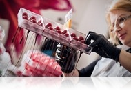 Magyar a világ legjobb töltött csokoládéja