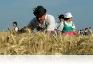 XIX. Aratófesztivál és I. Répcementi Etnofolk Forgatag (júl. 14-15.)