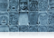 MTA-kutatás: az agy nyugalmi állapotban sem tétlenkedik 