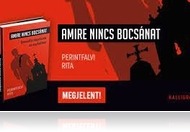 Gyermekbántalmazás az egyházban - Perintfalvi Rita: Amire nincs bocsánat (könyvkritika)