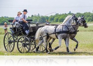 XVII. Búcsúi Fogathajtó Verseny és Jakab búcsú Gencsapátiban (júl. 30.)