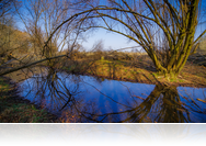 Kirándulástiippek: a vadregényes magyarbüksi erdő