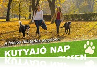 Kutyajó Nap Szombathelyen - Örökítsd meg kedvenced!