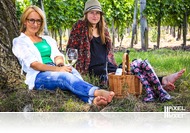 Félmaraton, Kiscsillag és Bormustra történelmi helyszíneken!  - Hamarosan indul a Kerekdomb Fesztivál