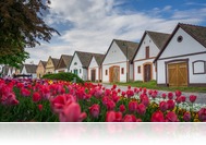 Virágos Magyarország: Június 15-ig lehet jelentkezni a versenyre