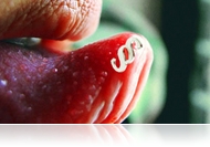 Gyermekdalok jogásznyelven - sikerül felismerni őket?