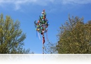 Tizenharmadszor állítottak májusfát Sárváron