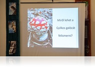 Gombát szedne? Erre figyeljen, ha túl akarja élni!