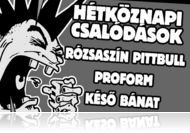 Punk Music Live III. a SIC-ben (nov. 14)