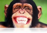 A legviccesebb áprilisi tréfák