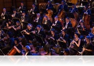 Koncertszerda, a hét legjobb napja