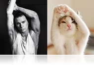 A macskák férfimodellek? Itt a bizonyíték!