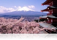 Cseresznyevirágzás - I. Sakura fotópályázat