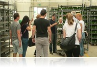 Melyik szomszéd fűje zöldebb? - Kerttúra négy országon át