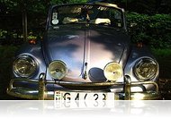 VW Bogártalálkozó - III. Szajki tavi Randi (fotóriport)