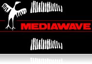 Vigyázat kultúrveszély! – A közgyűlés megszavazta a Mediawave támogatást