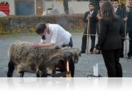 Hubertusz Nap: Malacavató a Hermanban (fotóriport)