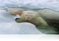 Magyar fotós kapta a Nat Geo pályázatának egyik elismerését (fotókkal)