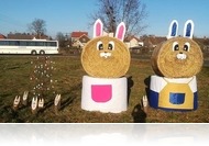 Ezek a szalmabála nyuszik Váton mosolyognak az autósra!