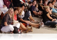 Kovács Kati, Honeybeast, The Carbonfools - Körmendi Napok 2015 részletes programja (aug. 14-19)