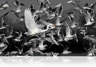 Az MMIK októberi kiállításai