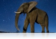 Máté Bence: Olyan képi világot szerettem volna mutatni, amelyet szabad szemmel nem lehet látni - Interjú a világdíjat nyert magyar fotóssal