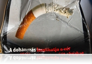 Mire huszonéves leszel, megjön az eszed