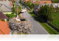 Csaknem 4500 fészektartóval várja a gólyákat az E.ON