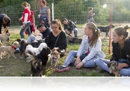 Ments mancsot! - Séta az állatokért az Állatok Világnapja alkalmából