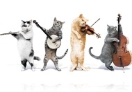 Van, ami annyira meztelen, hogy csakis esztelen jó