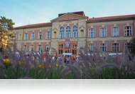 Minden múzeum egy helyen - Múzsák Kertje 2011