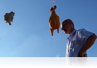 Mit csináljon a gyerek, miközben tombol a fesztivál? - Családi élménypark a Szabadság téren