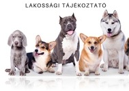 Ebösszeírás 2026 Szombathelyen - Itt vannak a részletek