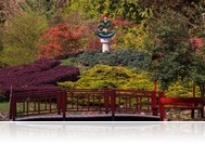 A nyugalom szigete - Japánkertet és hidat avattak a Kámoni Arborétumban