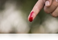 Az idegen (egyperces)