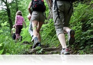 Jelvényszerző mozgalom: forrástúra a Kőszegi-hegységben