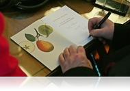 Bemutatták a Gyümölcsök és praktikák a Tündérkertből című kötetet 