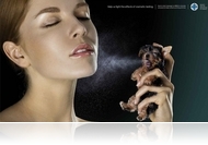 Rákot keltenek a bőrükön! - Az állatkísérletekről