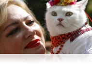 Ma van az állatok világnapja (okt. 4.)