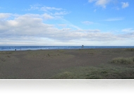 A piros zoknis csirkék