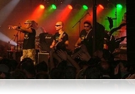 Elismerés az Ocho Macho-nak - aranyos Online a világ, platinás El Mundo Fantastico 