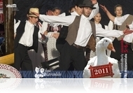 Szent Márton Napi Országos Nagyvásár 2011